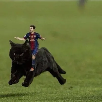Cat Messi
